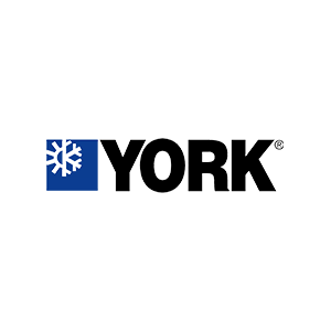 York York
